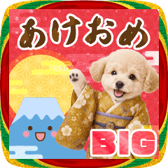 [LINEスタンプ] 【BIG】癒しプードルの毎年使える年賀状