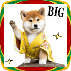 [LINEスタンプ] お正月☆柴犬【BIG】