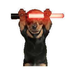 [LINEスタンプ] 動く！！面白いダックスフンド