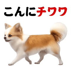 [LINEスタンプ] AI動物ダジャレ＠アニマルスタンプ