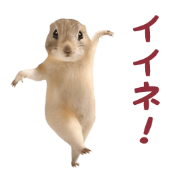 [LINEスタンプ] 高速で踊る！ハムスター
