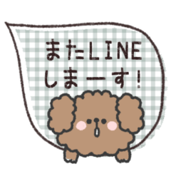 [LINEスタンプ] トイプードルさん◎吹き出しあいさつ #1