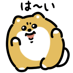 [LINEスタンプ] けわしいポメラニアン（文字付き）