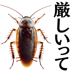 [LINEスタンプ] 男磨きを促すゴキブリ【煽り度MAX】