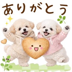 [LINEスタンプ] 気持ち伝わる癒やしトイプードル