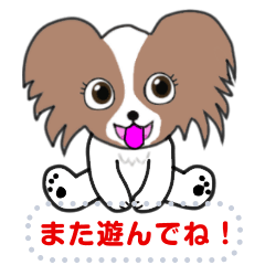 [LINEスタンプ] かわいい犬のパピヨン君
